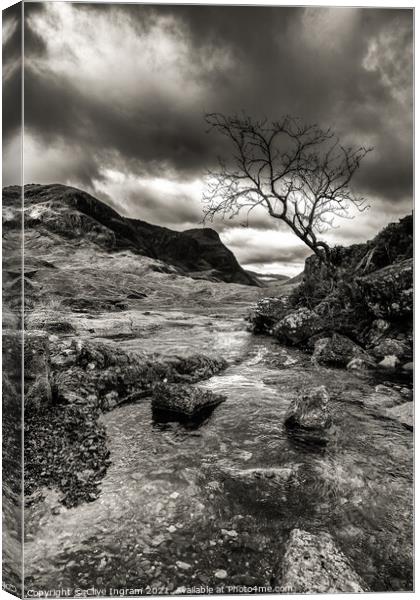 Lone tree and mountain background mono Canvas Print by Clive Ingram