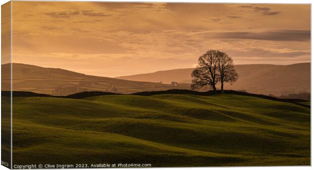 Serene Sunset in the Yorkshire Dales Canvas Print by Clive Ingram