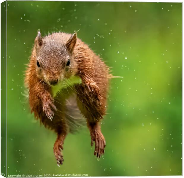 I'll do my flying in the rain Canvas Print by Clive Ingram