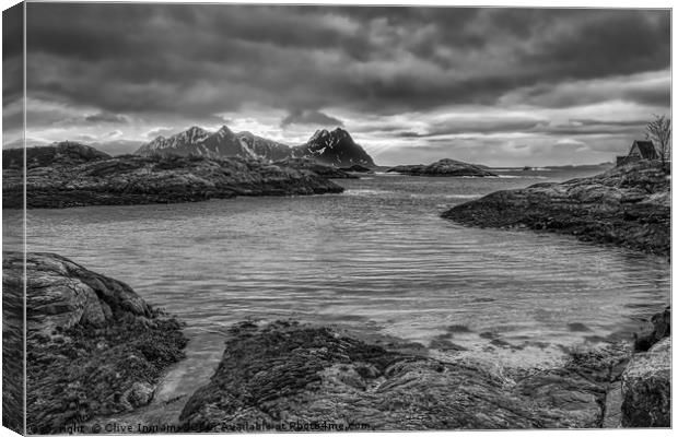 Majestic Arctic Seascape Canvas Print by Clive Ingram