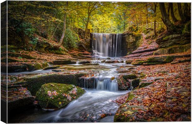 Autumn waterfall. Canvas Print by Clive Ingram