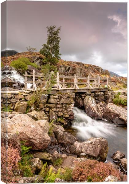 Welsh mountain stream in full flow. Canvas Print by Clive Ingram