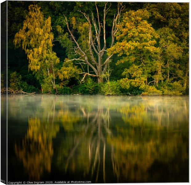 Reflections of autumn Canvas Print by Clive Ingram
