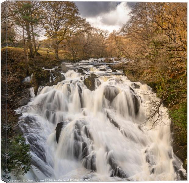 Swallow Falls Canvas Print by Clive Ingram