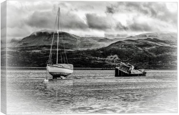Boats at low tide with mountain backdrop Canvas Print by Clive Ingram