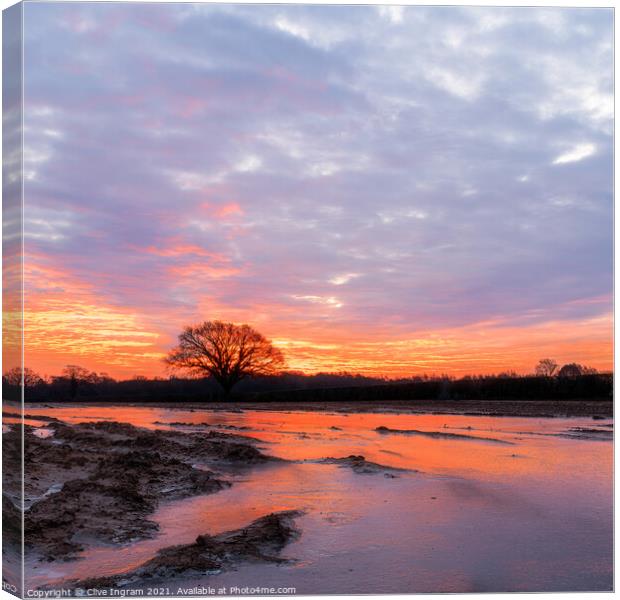 Winter sunrise Canvas Print by Clive Ingram