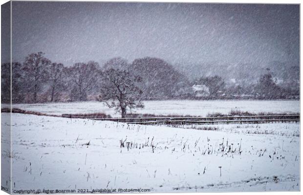 Winter snowfall on fields Canvas Print by Peter Boazman