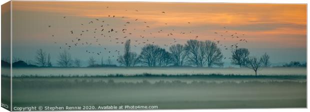 Low mist sunset and birds  Canvas Print by Stephen Rennie