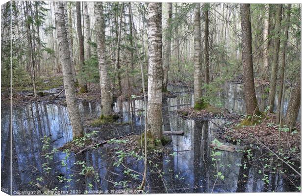 Flooded Forest Canvas Print by Juha Agren