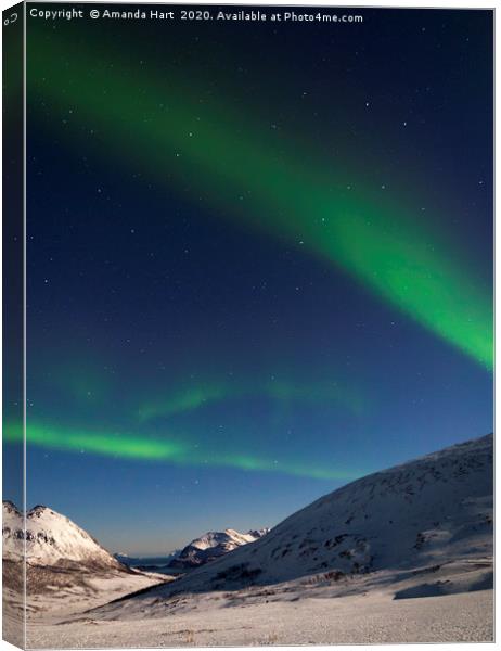 Aurora Borealis and Ursa Major, Norway Canvas Print by Amanda Hart