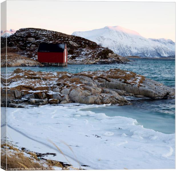 Red hut by the sea, winter in Norway Canvas Print by Amanda Hart