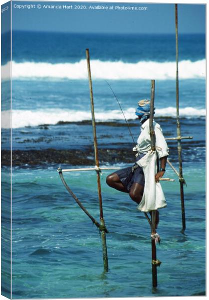 Stilt fisherman, Sri Lanka Canvas Print by Amanda Hart