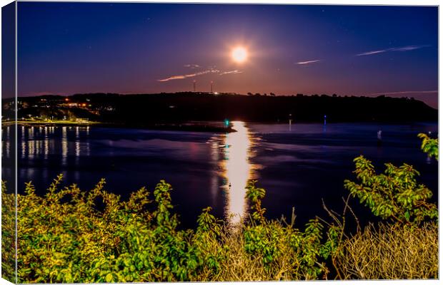 Moon Rise Canvas Print by David Whitehead