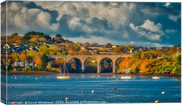 Distant Bridge Canvas Print by David Whitehead