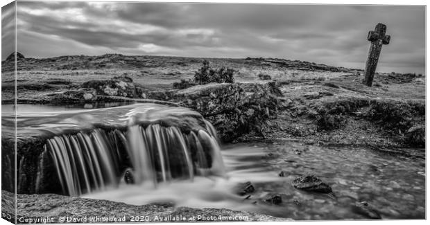 Mysterious Moors Canvas Print by David Whitehead