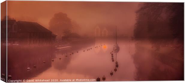 Out Of The Mist Canvas Print by David Whitehead