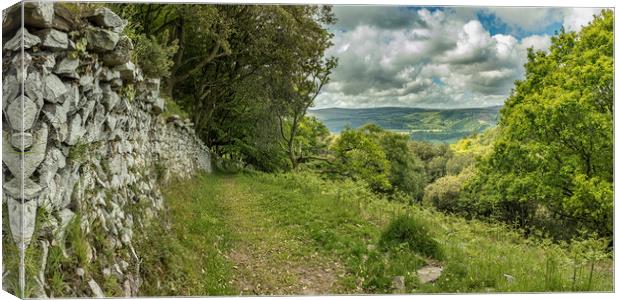 Wall and view to Dunkery from Selworthy Combe Canvas Print by Shaun Davey