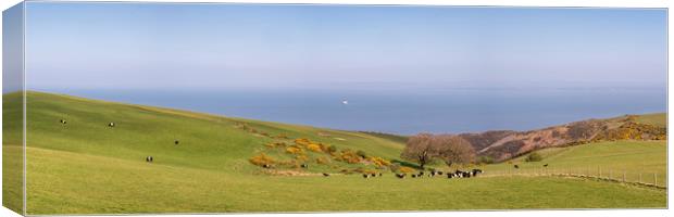 Cattle Grazing on the Edge, Exmoor  Canvas Print by Shaun Davey