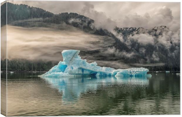 Iceberg, Le Conte Bay, Petersburg, Alaska Canvas Print by Shaun Davey