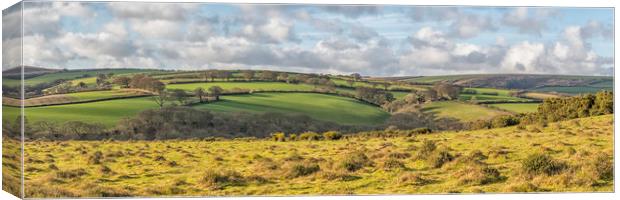 View over Wilmersham Farm and Pool Farm, Exmoor Canvas Print by Shaun Davey