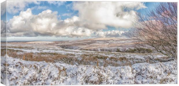 Snowy January view towards Dunkery Beacon Canvas Print by Shaun Davey