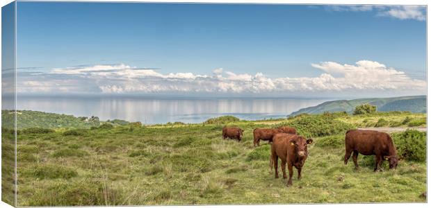 Clouds Reflected in Bristol Channel Canvas Print by Shaun Davey