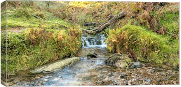 Sweetworthy Combe, Exmoor Canvas Print by Shaun Davey
