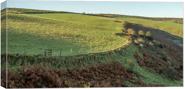 Grexy Combe, Exmoor Canvas Print by Shaun Davey