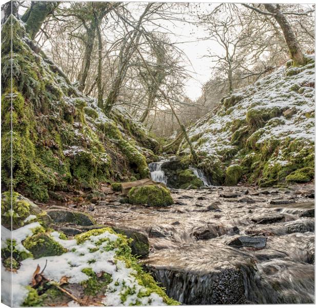 A stream tumbles down Aller Combe - part of the Snowy landscape around Dunkery Hill, Exmoor National Park Canvas Print by Shaun Davey
