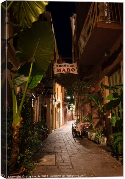 Narrow alleyway with green plants at the night illuminated in th Canvas Print by Stig Alenäs