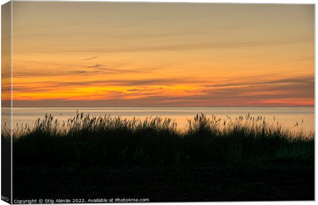 silhouett of dune grass against the sea and the ri Canvas Print by Stig Alenäs