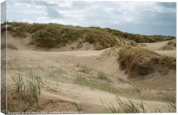 scenic sand dunes at Lakolk on the island Rømø Canvas Print by Stig Alenäs
