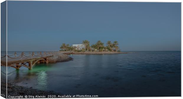 Egyptian villa situated on a small island with pal Canvas Print by Stig Alenäs