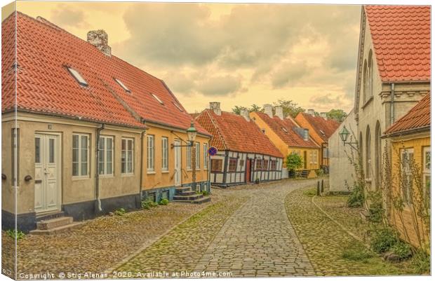 Ancient alleyway with old houses and hollyhocks Canvas Print by Stig Alenäs