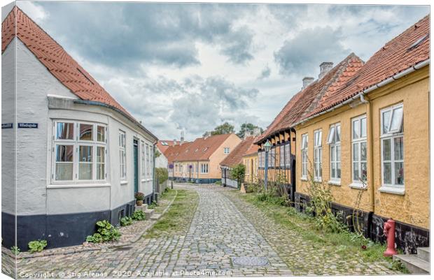 Picturesque street in an anciet alleyway in  Ebelt Canvas Print by Stig Alenäs