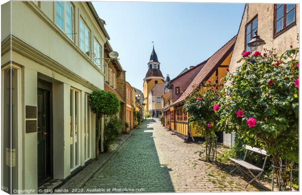 A picturesque alleyway with cobblestones and red r Canvas Print by Stig Alenäs