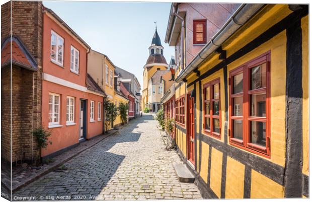 An alleyway with cobblestones and half timbered ho Canvas Print by Stig Alenäs