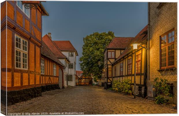 Ancient half-timbered houses at a cobblestone stre Canvas Print by Stig Alenäs