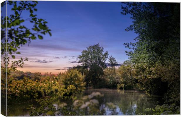 The Avon at Batheaston Canvas Print by Ed Carnaghan