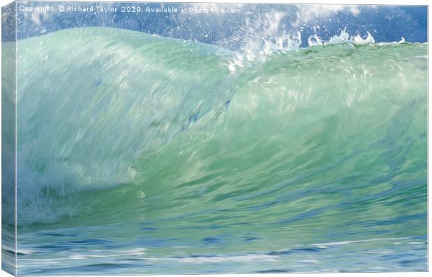 Ocean Wave Canvas Print by Richard Taylor