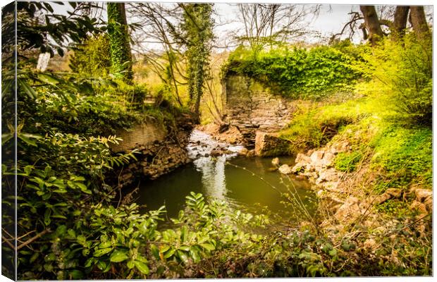 Hampton Loade Canvas Print by Steve Taylor