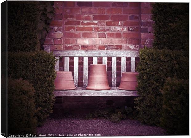 Secluded garden bench Canvas Print by Peter Hunt