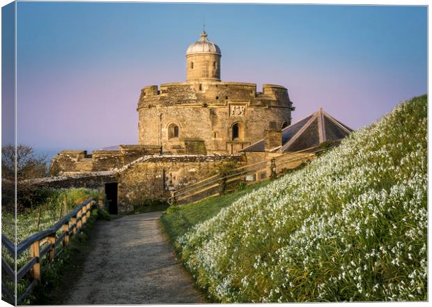  St Mawes Castle in South Cornwall  Canvas Print by Mick Blakey