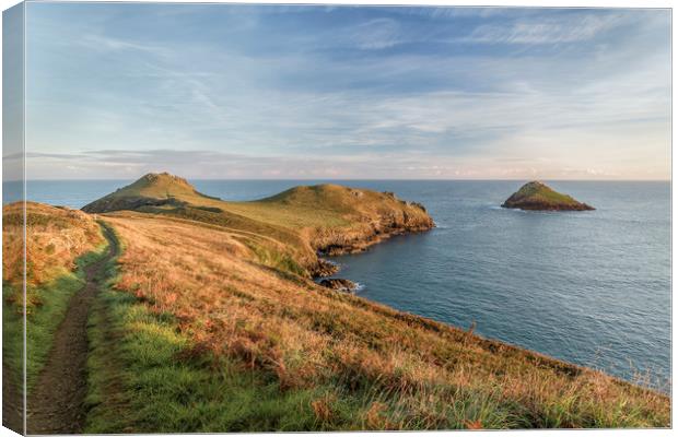 Golden Hour, The Rumps, Cornwall Canvas Print by Mick Blakey