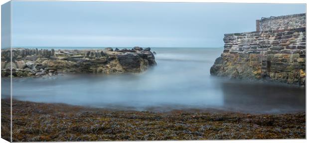 Harbour Wall and Seaweed, Portwrinkle, Cornwall Canvas Print by Mick Blakey