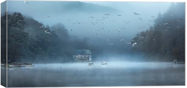Gulls in the Mist, Lerryn, Cornwall Canvas Print by Mick Blakey