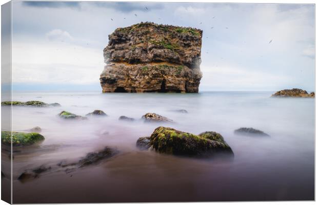 Marsden Rock Canvas Print by Mark Jones