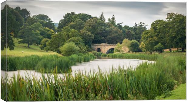 Lion Bridge, Alnwick Canvas Print by Mark Jones