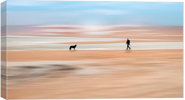 One Man and his Dog Canvas Print by Mark Jones