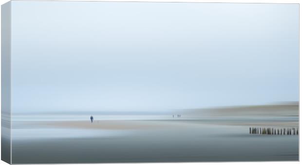 Abstract Beach, West Wittering Canvas Print by Mark Jones